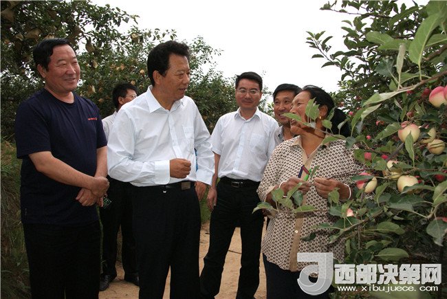 1511336568107153.jpg 1.jpg