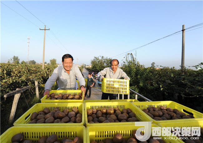 1511336661920664.jpg 5.jpg