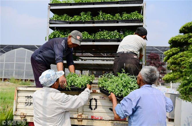 數(shù)字經(jīng)濟已經(jīng)成為我國經(jīng)濟社會更好發(fā)展的重要推動力，也為我國鄉(xiāng)村發(fā)展提供了新的歷史機遇。（圖片來源：視覺中國）