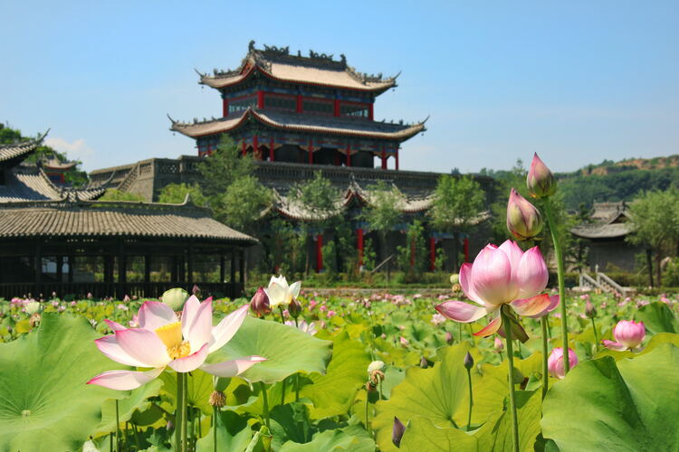 【云游渭南】心中若有桃花源，此處便是水云間！待疫情散盡，一起來渭南桃花源賞美景、觀民俗、享美食_fororder_2