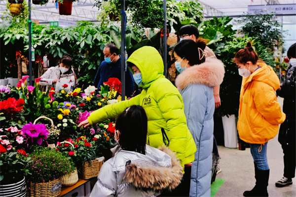 【網(wǎng)絡中國年·新春走基層】花燈璀璨賀新春 陜西各地年味濃_fororder_圖片9